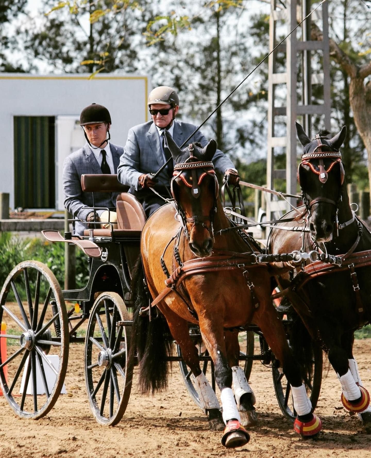 Paco Ballester con sus caballos